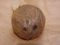 coconut-bowling-ball.jpg