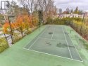tenniscourt1.jpg