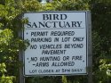 jfk bird sanctuary road.jpeg