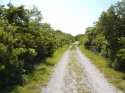 jfk bird sanctuary road aka beach road.jpg