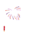 fireworks3.gif