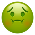 sickToStomachEmoji_1.png