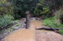 Little Ugly Creek 14.7.2012 looking towards Kholo Creek.JPG