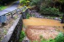 side of Little Ugly Creek 14.7.2012 showing its accessibility.JPG