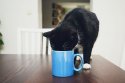 coffeeDrinkingCat.jpg