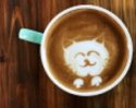 catFacedCoffee_200.jpg