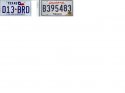 Texas and Louisiana license plates.jpg