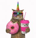 unicornCatWithDonutAndCoffee.jpg