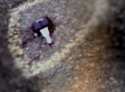 Parking-Lot-Crime-Scene-Evidence-photos-in-the-disappearance-of-Jodi-Huisentruit-CBS-News.png