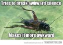 funny-bug-cricket-silence.jpg