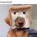 Pure bread.jpg