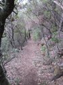 Track walk sublime point road 001.jpg