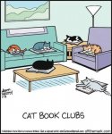 Cat book.jpg