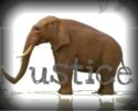 myjusticeelephant.jpg