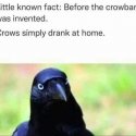 Crow bar.jpg