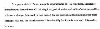 Secuity Cam Audio.jpg