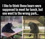 These bears.jpg