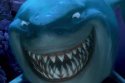 BRUCESHARK.jpg