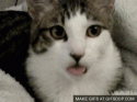 kittymouth.gif