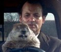 GroundhogDay.jpg