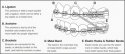 braces_diagram.jpg