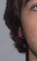 EarGauge.png