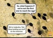 Tadpoles.jpg