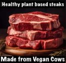 Vegan cows.jpg