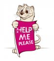23241813-cute-mink-holding-sign-help-me-please.jpg