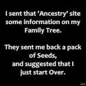 Ancestry.jpg