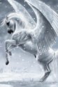 white winged horse.jpg