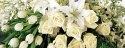 funeral-flowers-white-main.jpg