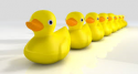 ducks in a row.png