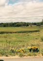 view_Of_Remains_Site_From_276th_Av_001.png