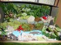 Kyrons Tree frog diorama2.jpg