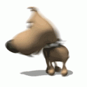 dog chasing tail2.gif