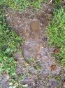 footprint trial (1).jpg