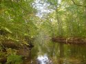 Ridley Creek park.JPG