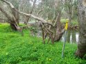 Footbridge_Telstra_warning.jpg