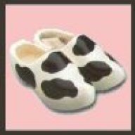 moo-shoe