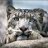 snowleopard