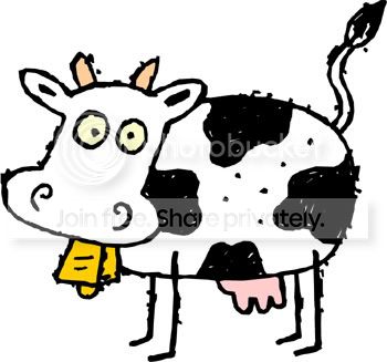 cow.jpg