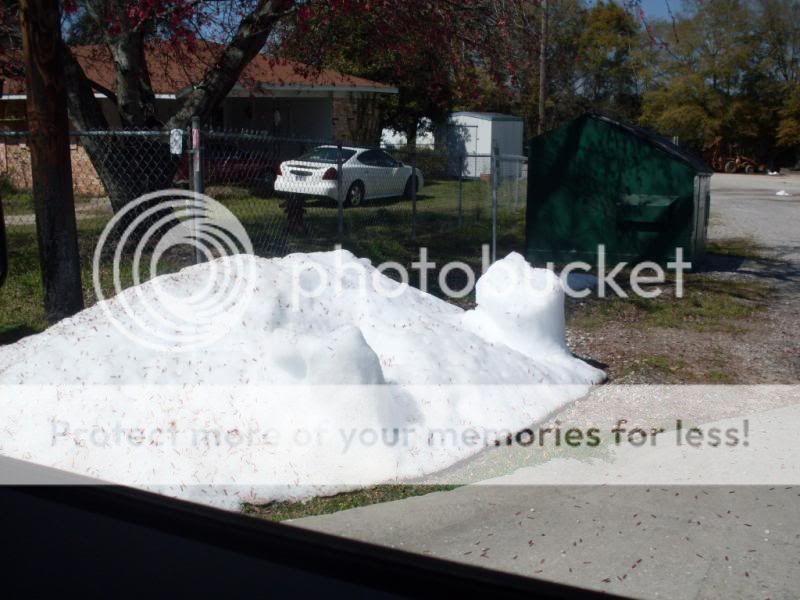 053_zps9453cba4.jpg