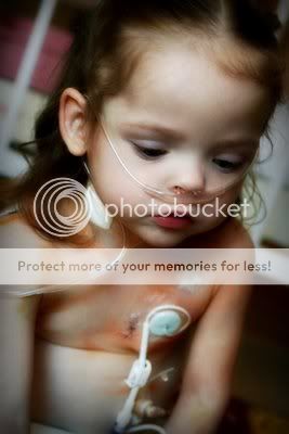 IMG_4272.jpg