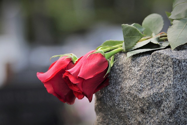 Free Two Red Roses Loving Memory photo and picture