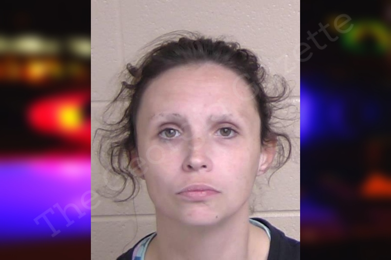 thegeorgiagazette.com