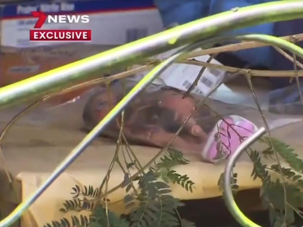 6c4272e8c7ae9a5c099c89eaa1fb45c6