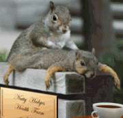 x0q2f90y.gif
