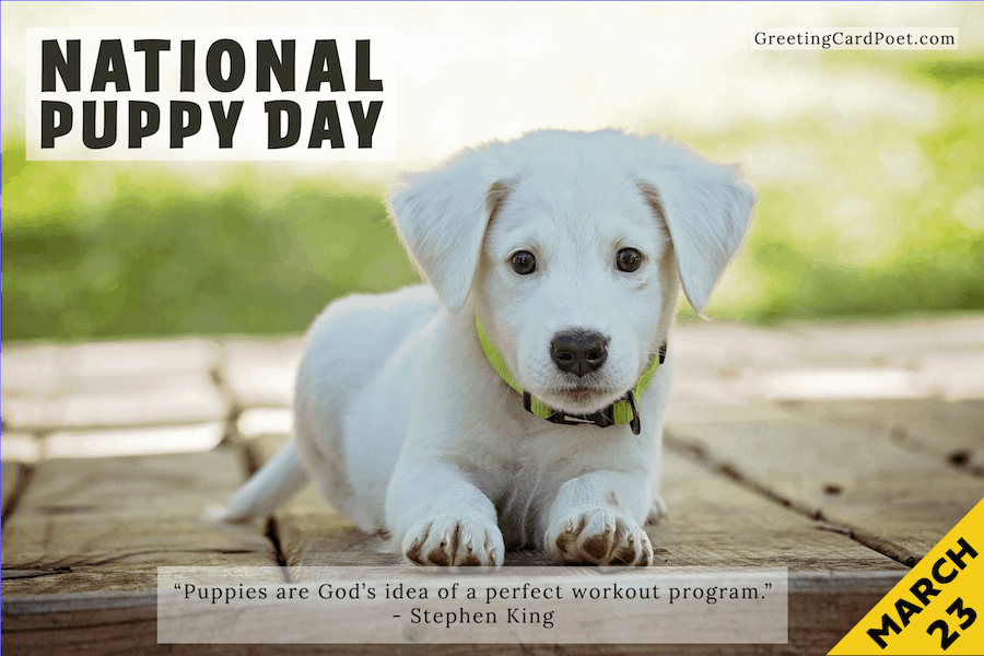 National-Puppy-Day.png