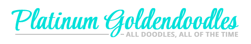 www.platinumgoldendoodles.com